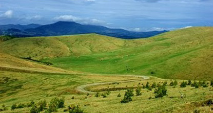 Zlatibor 